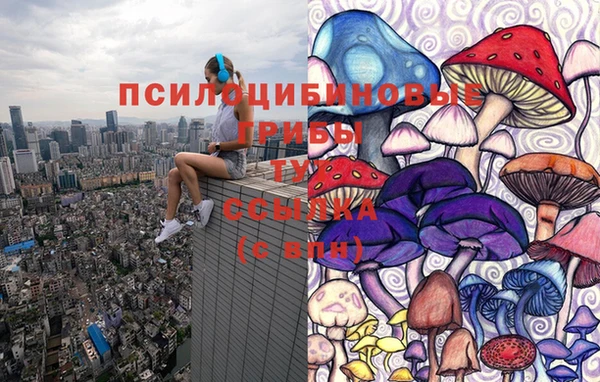 дживик Абинск