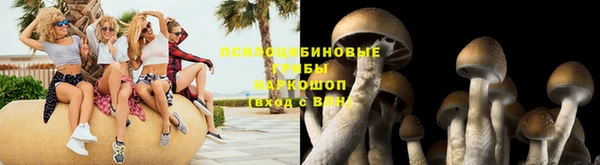 дживик Абинск