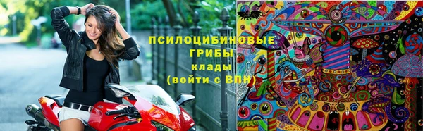 дживик Абинск