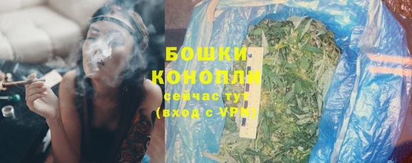 СК Горняк